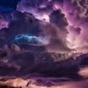 sheilaross3146